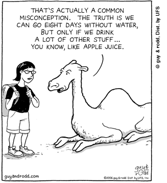 brevity